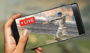 Why live cricket now feels like breaking news on a phone